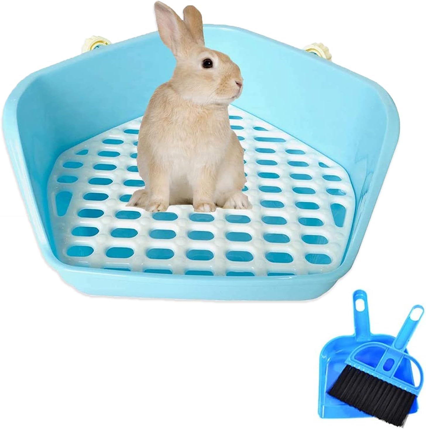 Kim P5+ haqida porno multfilm Kafe Berloga Rosa Xutor sharhlari